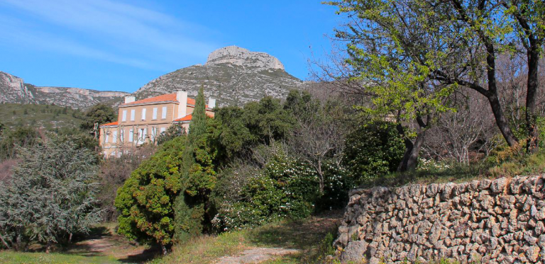 Producteur d'huile d'olive de Provence