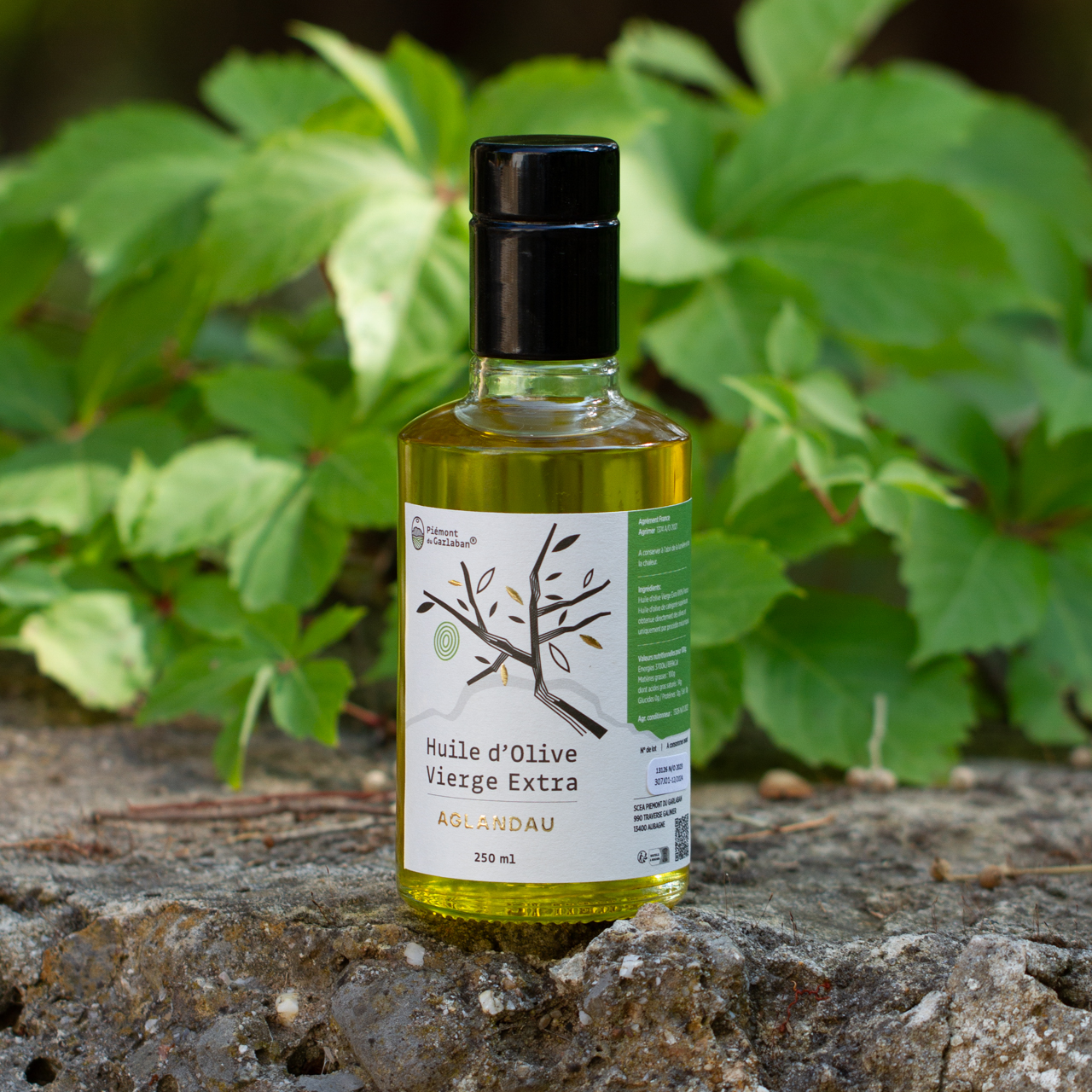 Huile d'olive Aglandau fruité vert monovarietal - 25cl