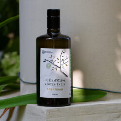 Huile d'olive Aglandau fruité vert monovarietal - 25cl