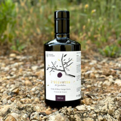 Huile d'olive l'Olivette